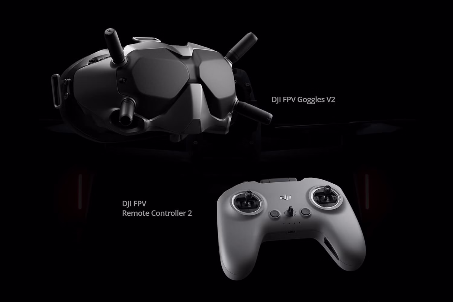 DJI FPV Goggles